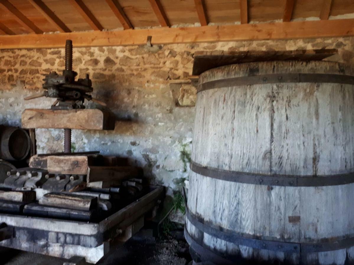 Grand Gite Maison D Alice Auvergne - 15 Personnes Saint-Bonnet-des-Quarts Екстер'єр фото